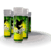 alegria citrus