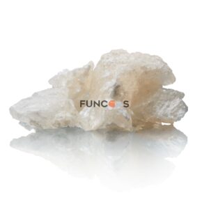 apcyp crystal