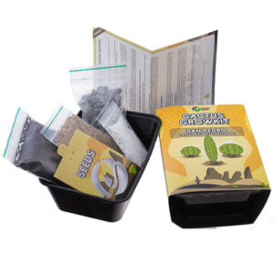 cacti grow kit san pedro trichocereus pachanoi