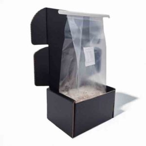 jack frost paddo grow kit 1