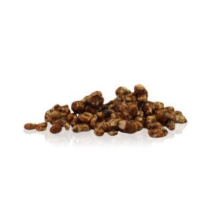 'Lost in Space' (Tampanensis) 15G - Indian Spirit Truffles
