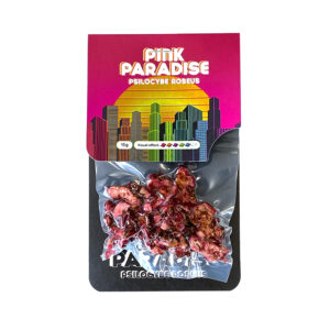 magic truffels pink paradise 15 gram