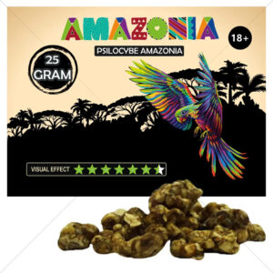 magic truffels psilocybe amazonia 25 gram