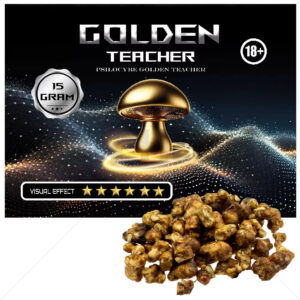 magic truffels psilocybe golden teacher 15 gram