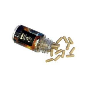 Microdose Synergy - 60 capsules