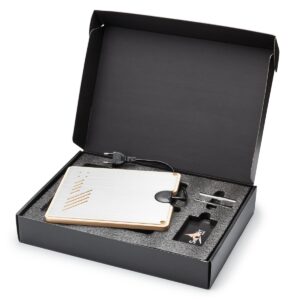 snortboard hotplate 1